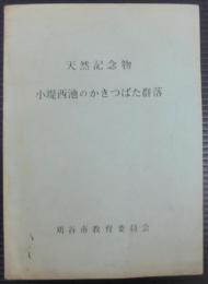 天然記念物小堤西池のカキツバタ群落