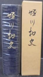 蛭川村史　（岐阜県）