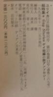 ユリイカ　11月臨時増刊号　第27巻第13号　総特集 ゲイ短篇小説アンソロジー