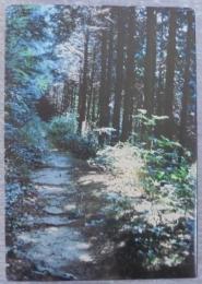 鎌倉古道幾山河