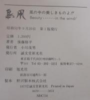 鳥凧 : やっと鴎たちと友だちになれた! Beauty…in the wind!