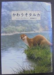 かわうそタルカ