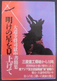 明けの星を見上げて : 大道寺将司獄中書簡集