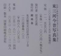 東三河今昔写真集 : 保存版