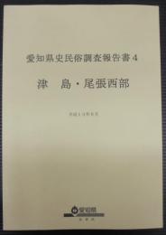 愛知県史民俗調査報告書