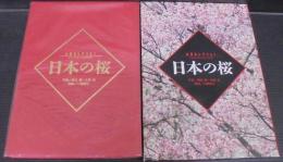 日本の桜