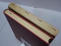 弁証法の系譜　マルクス主義とプラグマティズム　第2版