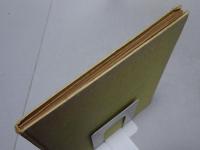 暮雨巷三世 村瀬帯梅の研究