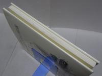 伊奈彦定画集 第2集  豊橋今昔 市電のある風景 / 設楽残像 なつかしの田口線