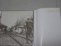 高原のポニー Ｃ５６　塚本和也写真集