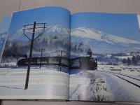 高原のポニー Ｃ５６　塚本和也写真集