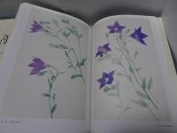 速水御舟 （全一巻二分冊）　生誕100周年記念出版