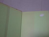 幕末の武家　体験談聞書集成　青蛙選書7