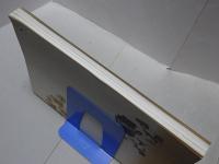 春の玉手箱　春季特別展