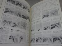 原色図解 紙工芸技法大事典　上下