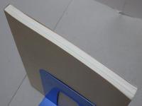 法然上人絵詞　九巻伝