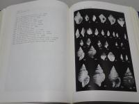 瑞浪の化石と地層