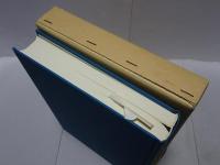 中国漢方医語辞典