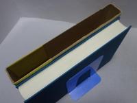 中国漢方医語辞典