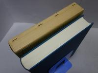 中国漢方医語辞典