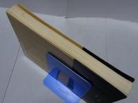 電子治療大事典　電子治療のすべてがわかる