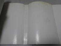 電子治療大事典　電子治療のすべてがわかる