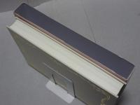 完全マスター 紫微斗数占い