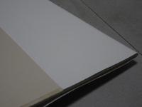 新約聖書　本文の訳