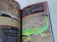 ザ・爬虫類＆両生類　初心者でも繁殖にトライできる本