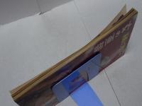 女の画報　1月号　第2巻第1号　漫画とグラマー