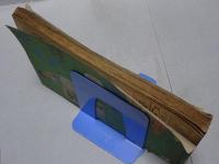 新婦人　昭和32年5月　第12巻第5号