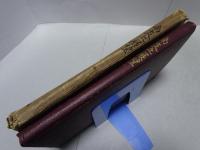 皇威輝く 南支之展望