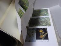 日本の野生植物　全3巻