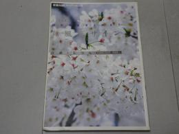 設計の基本と納まり　和風デザイン図鑑　意匠・しつらい・造作