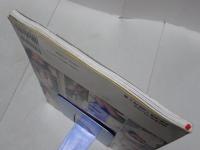 レモンティーン プラス 2004 Vol.2　LemonTeen plus トレカ欠