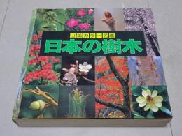 山渓カラー名鑑　日本の樹木