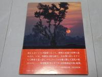 インドの仏蹟　大唐西域記の旅