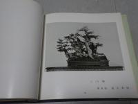 第六回 盆栽水石展　1973