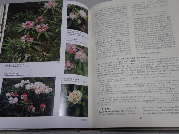 日本の野生植物 木本 全2巻 | 佐竹義輔 原寛 亘理俊次 冨成忠夫 | 平凡