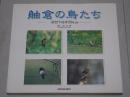 舳倉の鳥たち　能登半島沖50km
