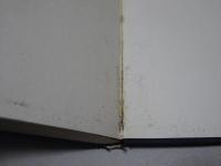 苦難の進法　蓮尾弘恵先生御伝記