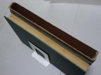 最新 小心恐怖症の療法