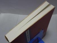 道教聖地　中国大陸踏査記録