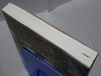 わがムラの石造文化財 １