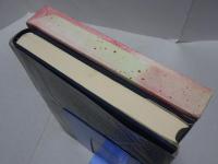 苦難の進法　蓮尾弘恵先生御伝記