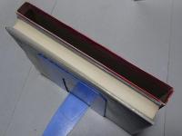 苦難の進法　蓮尾弘恵先生御伝記