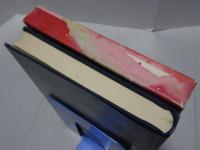 苦難の進法　蓮尾弘恵先生御伝記