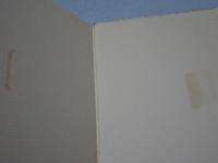 図説 中国武術史