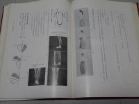 祭式大成　男女神職作法篇