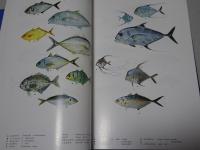 魚類図鑑　改訂版　南日本の沿岸魚
